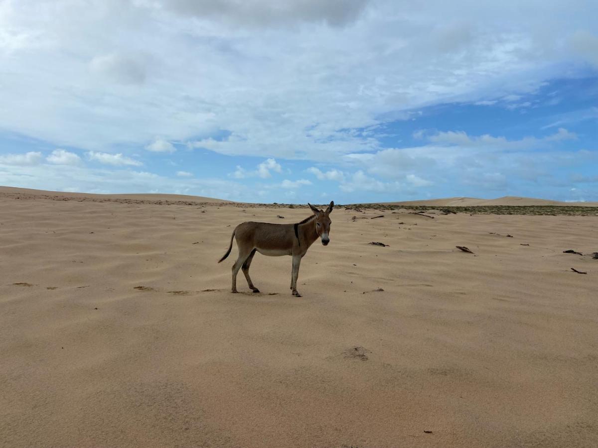 Casa Jasmin Villa Jijoca de Jericoacoara Buitenkant foto